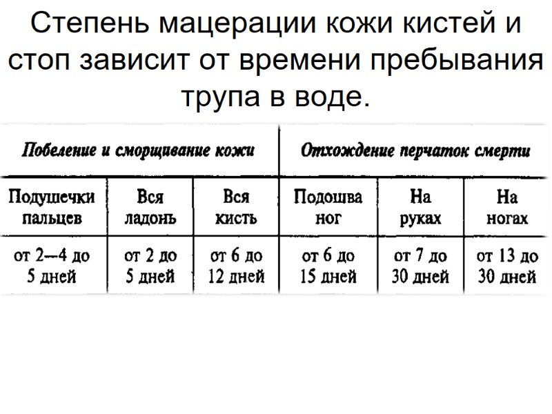Степень мацерации кожи кистей и стоп зависит от времени пребывания трупа в воде.